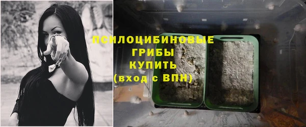 ПСИЛОЦИБИНОВЫЕ ГРИБЫ Осташков