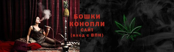 ПСИЛОЦИБИНОВЫЕ ГРИБЫ Осташков