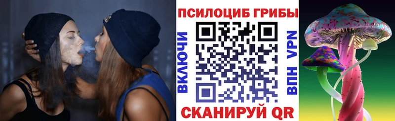 Псилоцибиновые грибы Psilocybine cubensis  Североморск 